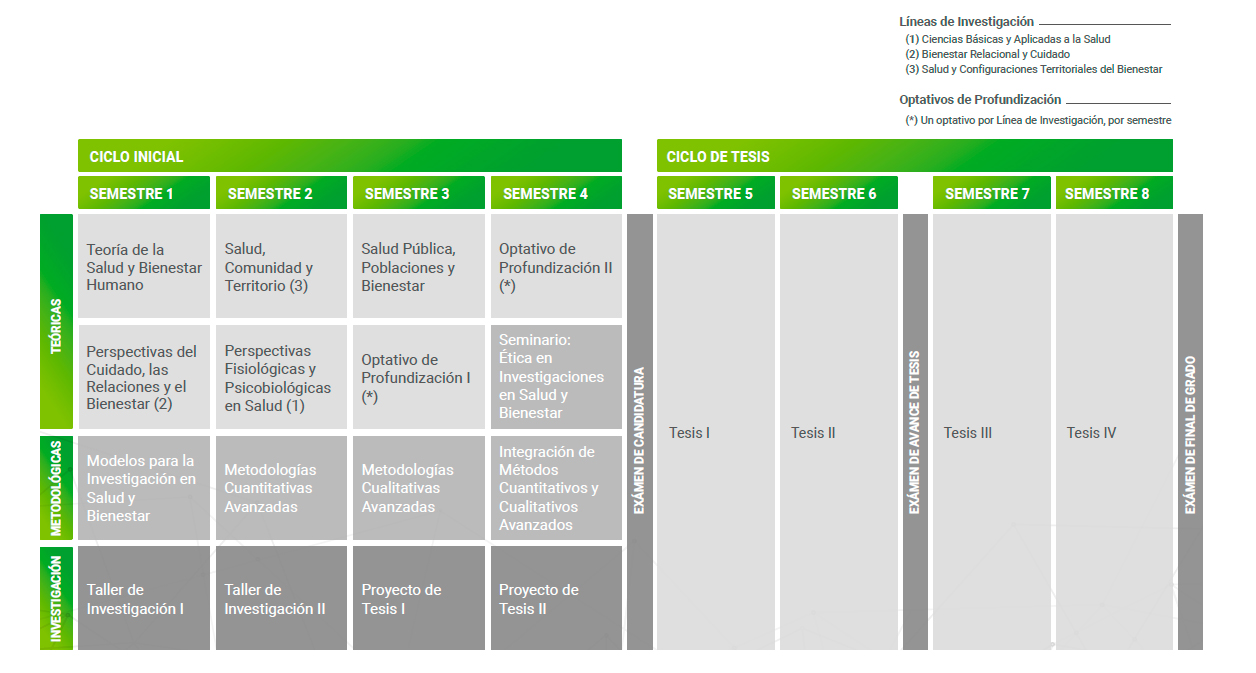 Malla Doctorado en Bienestar Humano, Salud y Sociedad